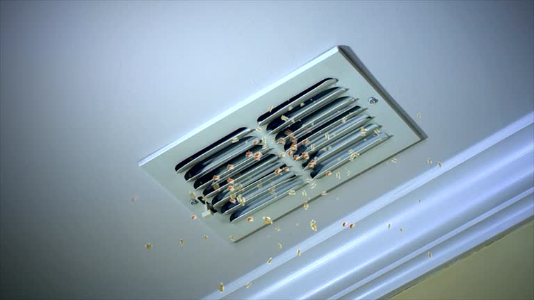 Best General Air Duct Cleaning  in Mission Hills, CA